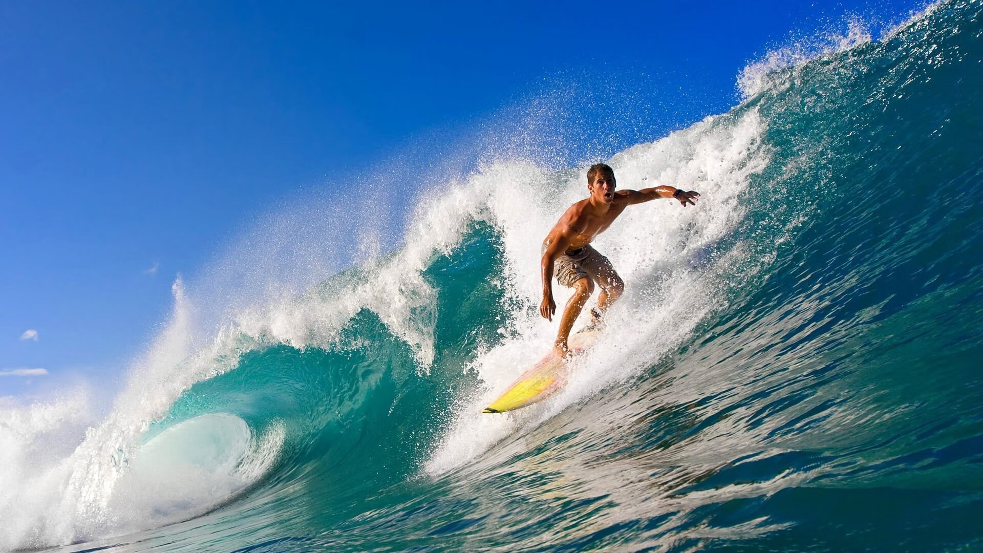 NBA官方推出全新媒体平台，丰富粉丝互动体验，nba媒体日