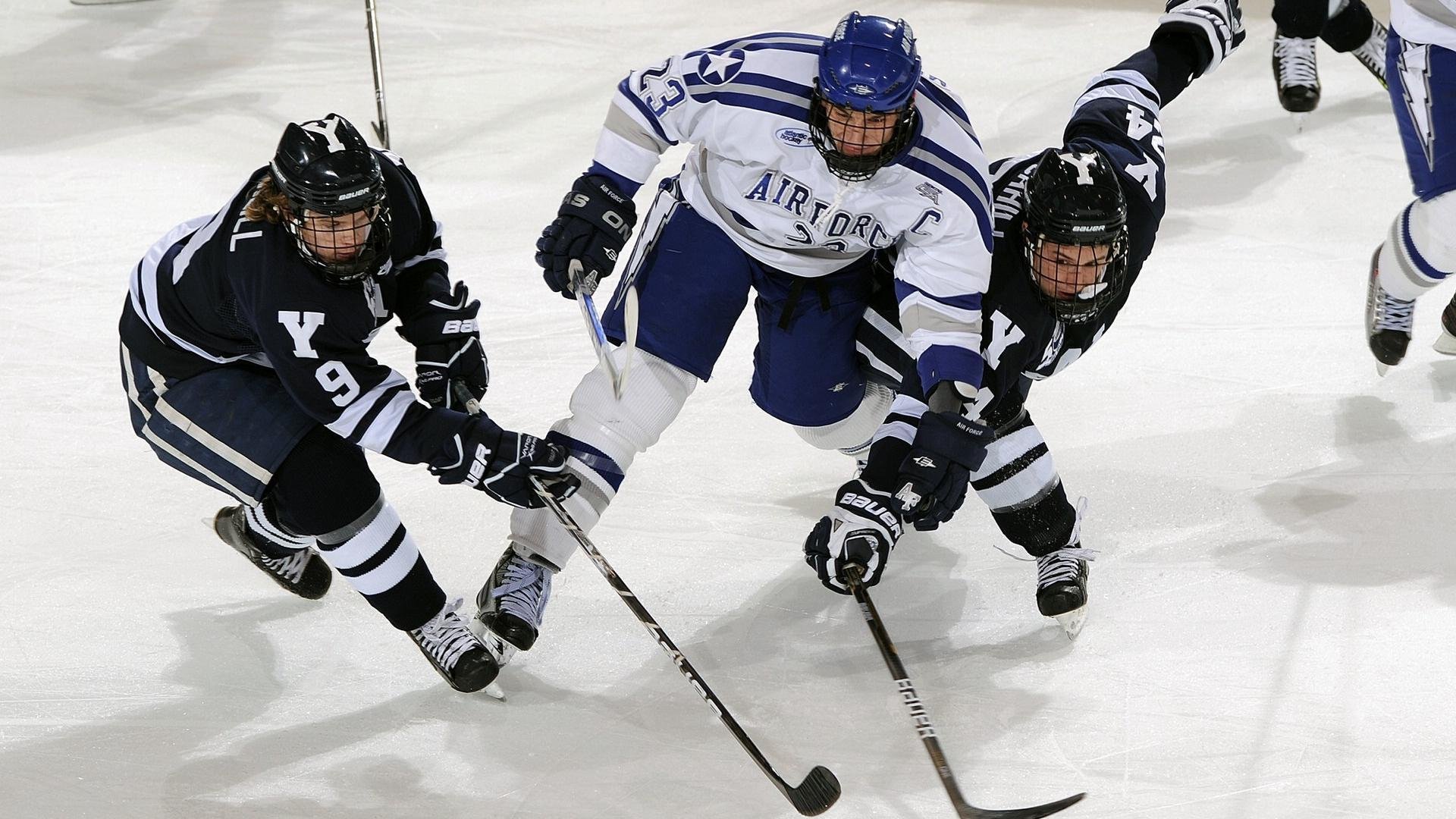 极限攀岩体验日，探索未知的高峰挑战，极限攀岩介绍
